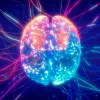 Psicodélicos y neuroplasticidad para una psiquiatría de precisión
