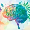 Microdosis de THC-CBD mejora la cognición en Alzheimer