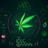 Tecnologías que están transformando el ecosistema cannábico