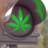 Legalización alemana no ha generado cambios en la conducción vehicular