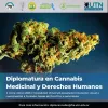 En Argentina se lanza diplomatura en industria y cultivo de cannabis