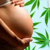 Exposición prenatal al cannabis