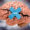 El potencial del CBD después de un traumatismo en la cabeza
