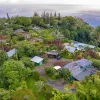 Retiro inaugural del Instituto Ram Dass de Estudios Psicodélicos con Moribundos en Maui, Hawái.
