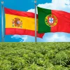 HEMPVALUE activa la cadena ibérica del cáñamo