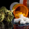 Cannabis regulado y opioides: surge nueva evidencia