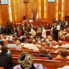 Nigeria vuelve a debatir el cannabis medicinal