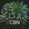 Japón incorpora el CBN a su lista de sustancias prohibidas