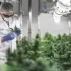 Rua Bioscience firma su mayor acuerdo de exportación al Reino Unido