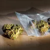 Islas Caimán estudia despenalizar hasta 30 gramos de cannabis