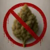 Grecia restringe los productos de cannabis y limita la composición del CBD