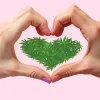 Amor y cannabis: una conexión química y emocional