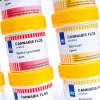 Países Bajos enfrenta un desfase en su cannabis medicinal