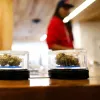 Canadá cuestiona el vínculo entre tiendas cercanas y consumo adolescente