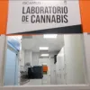 Provincia argentina abre laboratorio público para analizar cannabis medicinal