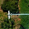 Colombia frena ensayo con herbicida sobre cultivos de coca