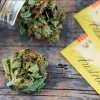 En Australia el cannabis legal podría aportar más de 850 millones de euros