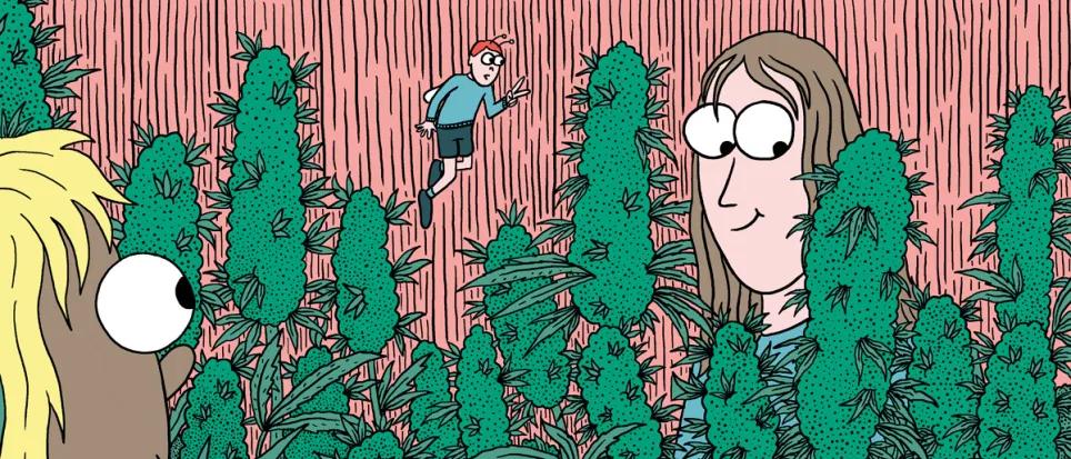 La cosecha de las sativas en exterior: trucos y claves 