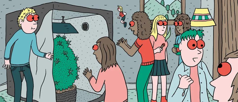 Diez pasos para montar el primer cultivo interior 