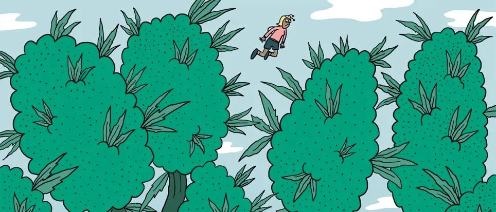 Listas para producir: cómo lograr superplantas