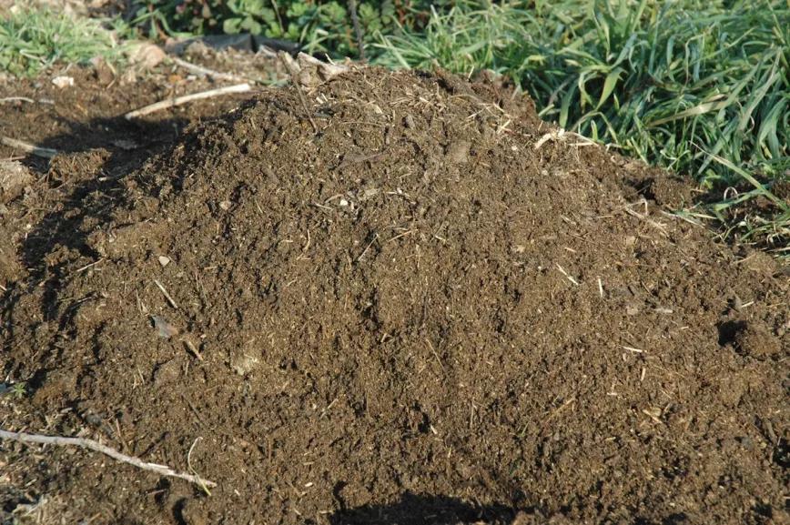 El compost es uno de los mejores abonos para el terreno, aporta nutrientes y microorganismos beneficiosos