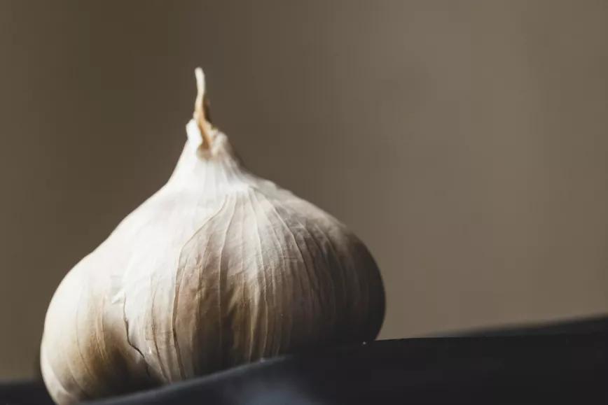 Ajo