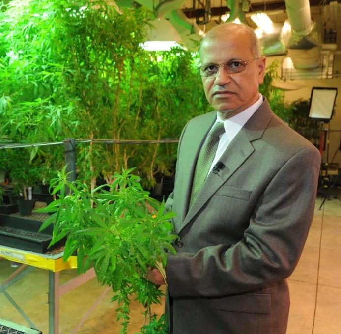 Mahmoud ElSohly: Profesor de la Universidad de Mississippi está al cargo del NIDA (National Institute on Drug Abuse) el único lugar de los EE.UU. que tiene una licencia federal para el cultivo e investigación del cannabis.