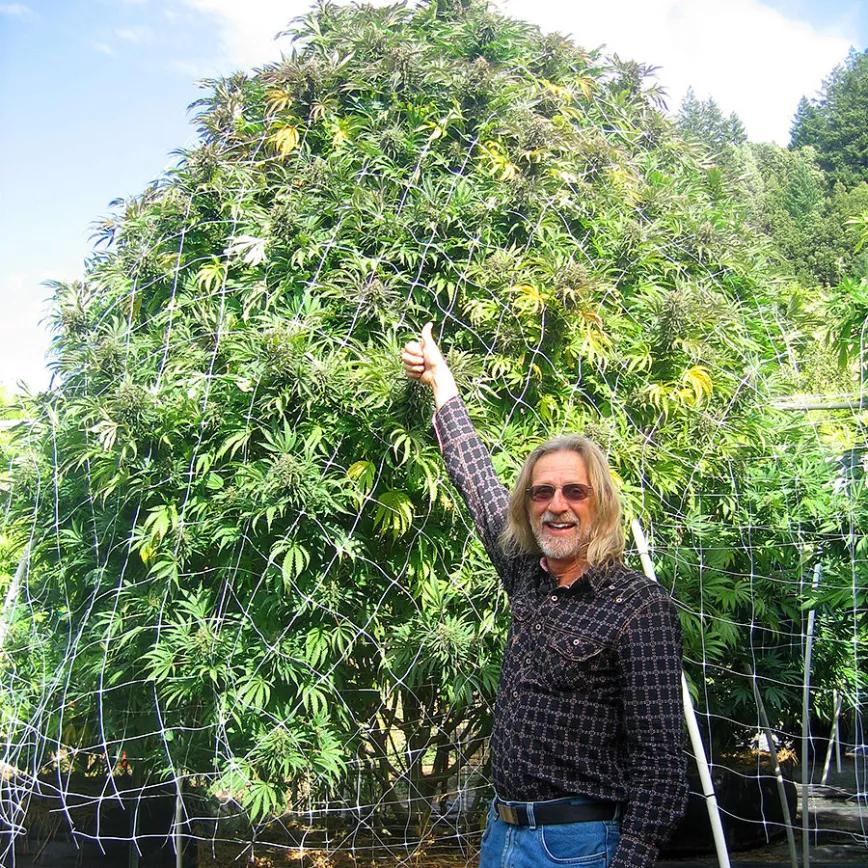 George Van Patten (a.k.a. “Jorge Cervantes”): desde 1983 Cervantes escribe y autoplublica libros sobre cultivo de cannabis que han vendido innumerables copias en todo el mundo.