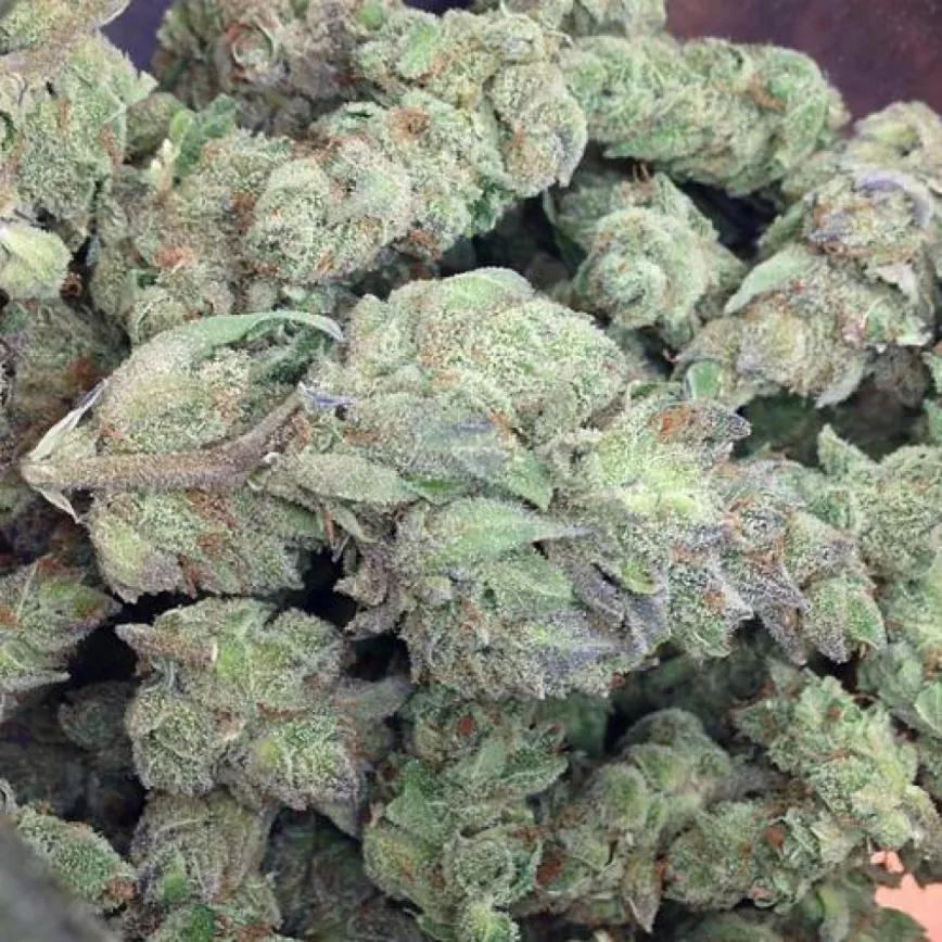 Blue Cheese