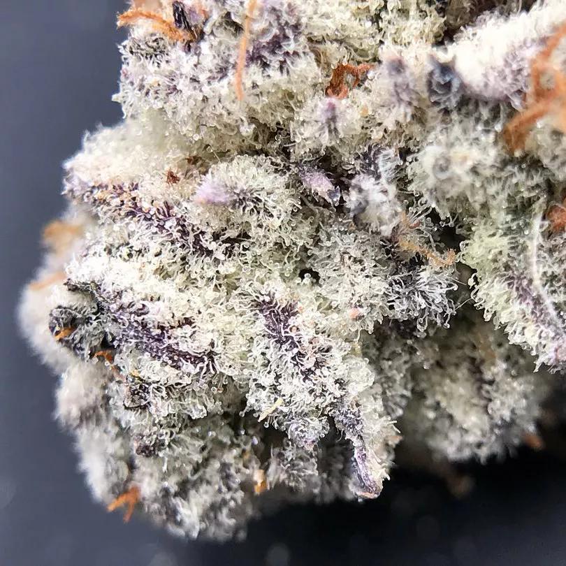 Purple Punch