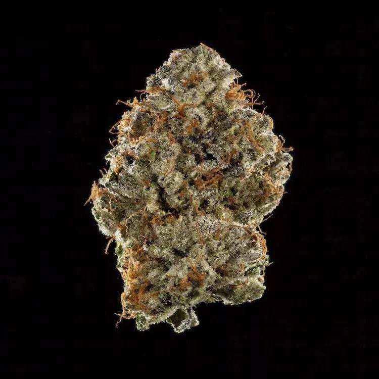 Mejor Índica: Creme De La Crème de Team Elite Genetics with OG Collective.