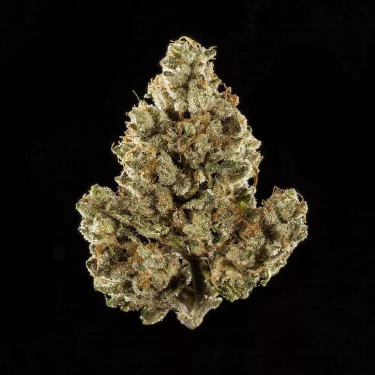 Mejor planta CBD: CBD OG de C.R.A.F.T.