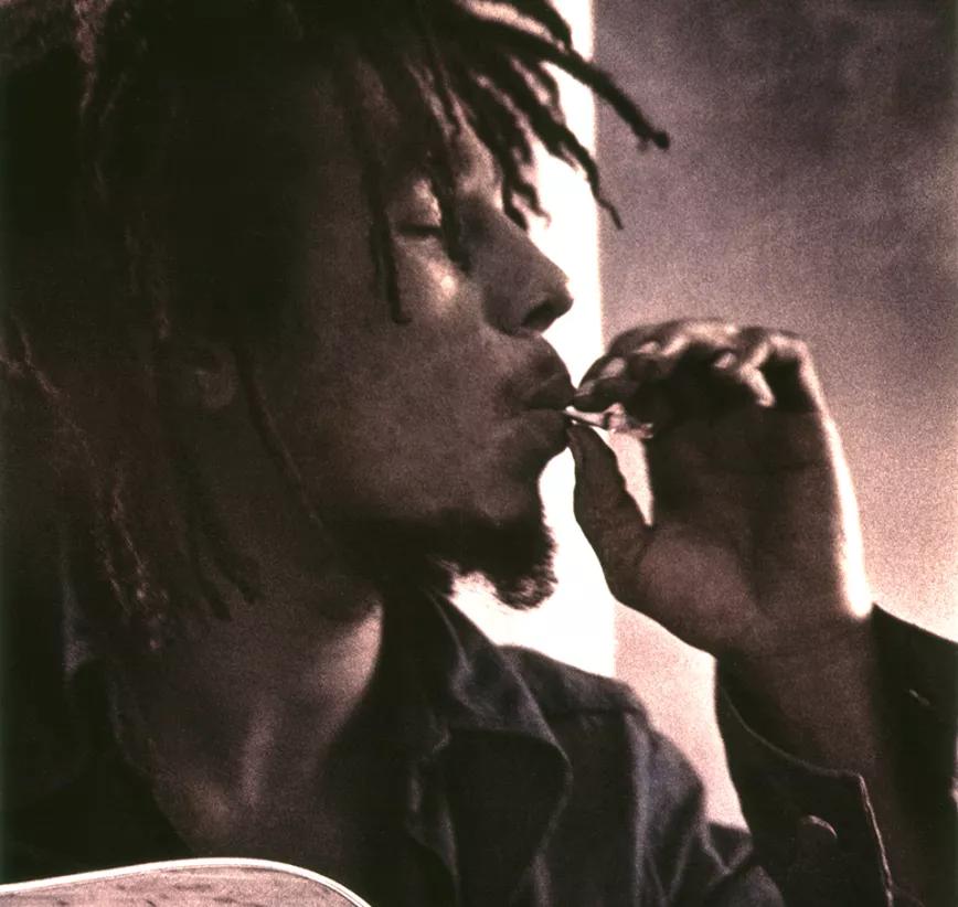 Reggae: Es la música de la ganja por excelencia. Bob Marley (claro) pero también Peter Tosh, Black Uhuru, Eek A Mouse, y Augustus Pablo. Ganja 4 life.