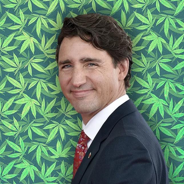 Justin Trudeau: Canadá. Cuando llegue octubre de 2008 será el primer presidente de un país del G8 que legalice el consumo del cannabis recreativo y medicinal.