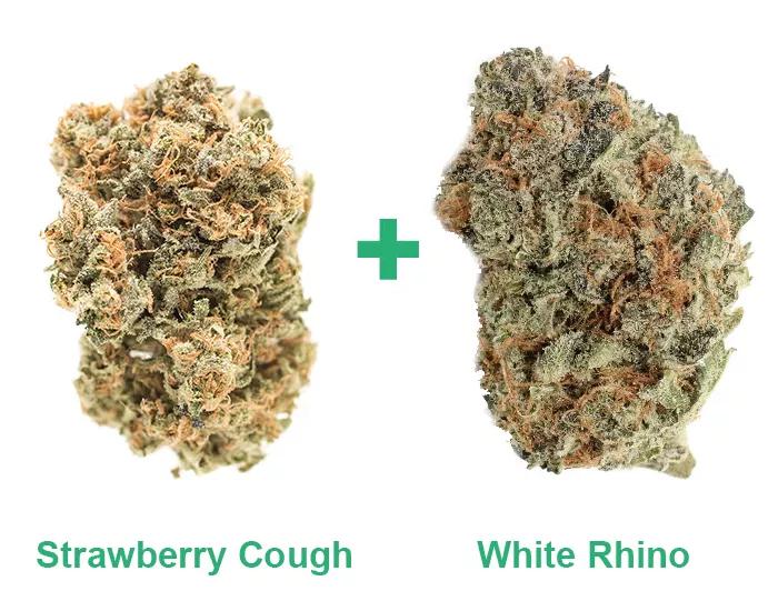 Strawberry Cough + White Rhino: Si tienes ansiedad social o eso de estar en entornos nuevos te pone de los nervios, se supone que este combo te va a venir de perlas.