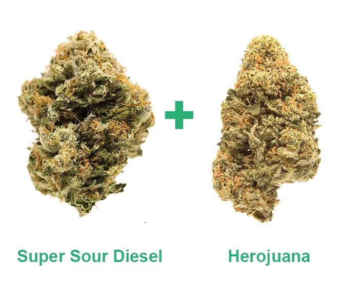 Super Sour Diesel + Herojuana: Esto te enciende para todo el día como si hubieses metido los dedos en un enchufe. Eres el señor o la señora Dinamo.