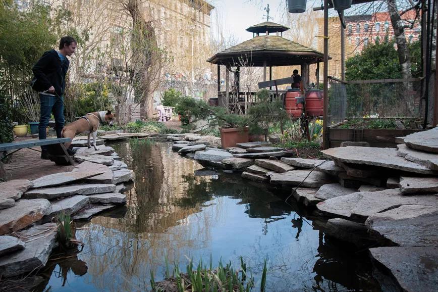 Los vecinos que ciudan del jardín "La Plaza Cultural" han creado un ecosistema en el que se recoge y reutiliza el agua de la lluvia.