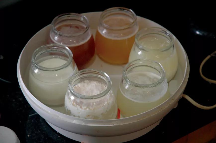 Una yogurtera mantiene los cultivos de bacterias a buena temperatura para que se reproduzcan rápidamente