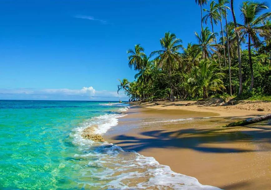 PUERTO VIEJO: Costa Rica descriminalizó la marihuana por lo que es momento de hacer turismo cannábico por sus playas ideales. Y nada mejor que ir hasta Puerto Viejo.