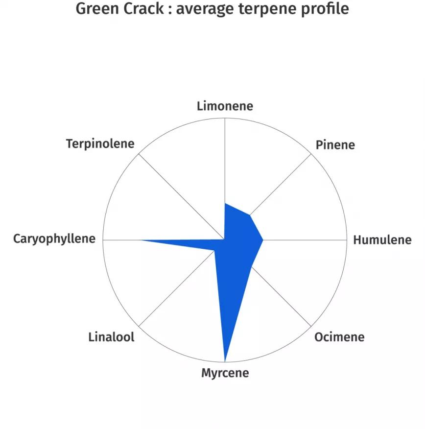 Green Crack:  Una variedad de THC dominante que se dice que desciende de la mítica Skunk #1, aunque es bastante probable que forme parte de la leyenda. Mezlca de sabor terroso con cítrico debido a sus abundantes terpenos mircenos y cariofilenos. Sus efectos: revigorizantes.