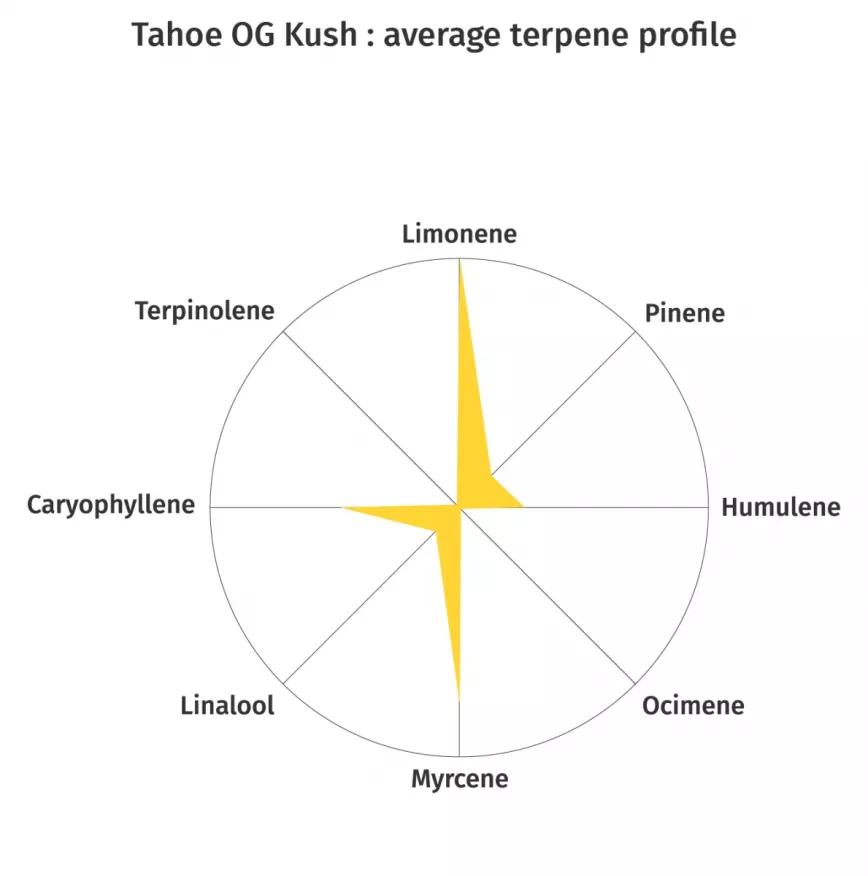 Tahoe OG Kush:  Uno de los fenotipos más conocidos de la legendaria OG Kush. Como todos los derivados de esta planta, la Tahoe no es una excepción y ofrece un coctel potente de gusto terroso y aroma a pino. ¿Los terpenos? Mircenos, cariofileno y limoneno.