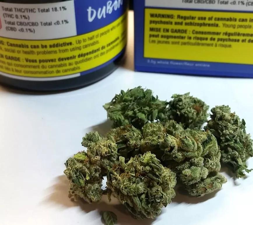 FLEUR DE CBD de Dubon: 15% CDB y poquísimo THC. Sabor a madera y tierra, es una variedad única de cannabis que gustará a los amantes de la marihuana que no coloca.