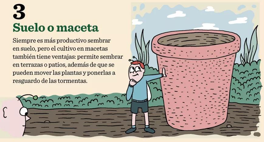 10 pasos para plantación 03