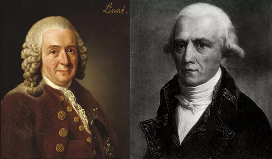 Carlos Linneo y Jean-Baptiste Lamarck