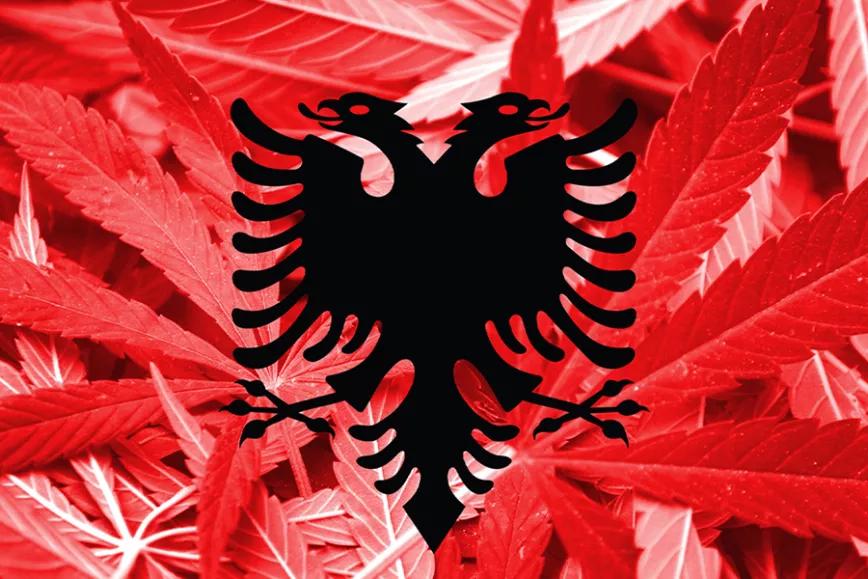 Albania dispuesta a legalizar la marihuana medicinal