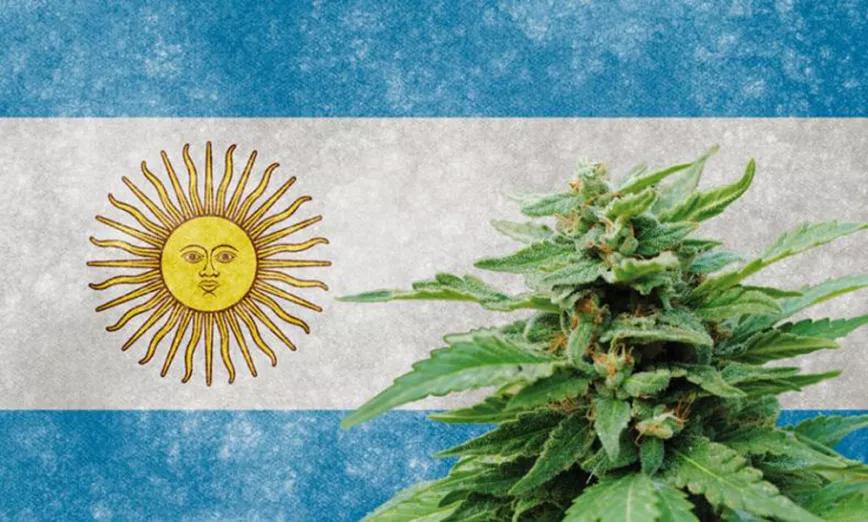 Los argentinos están con la legalización y un estudio dice que el 63% cree que debería legalizarse.