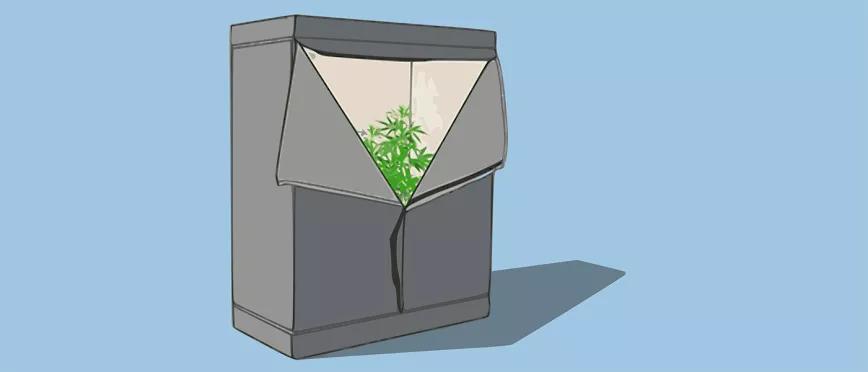 Cultivo básico en armario