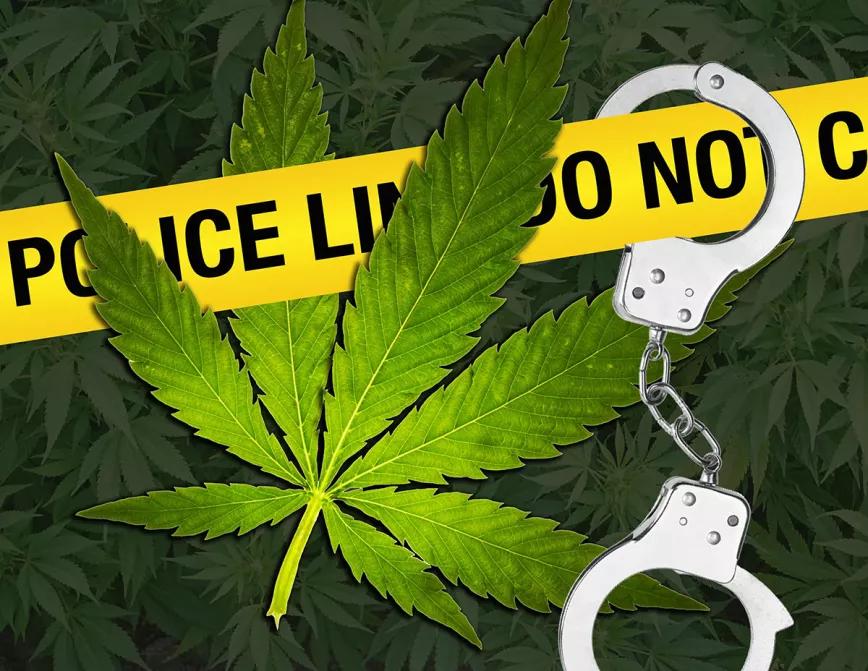 Virginia descriminaliza las pequeñas cantidades de cannabis el 1 de julio