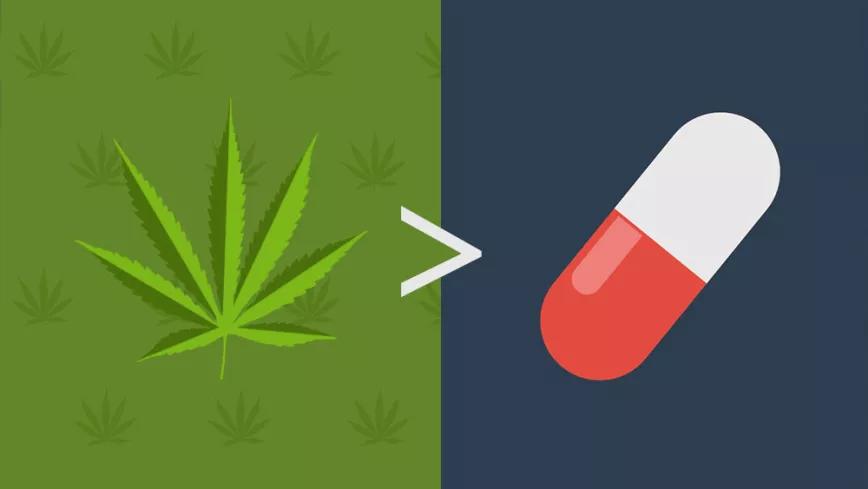 Estados que legalizaron la marihuana ven reducido el uso de opioides en un 20 por ciento