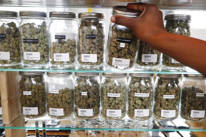Pacientes de Montana podrán comprar marihuana en el dispensario que quieran